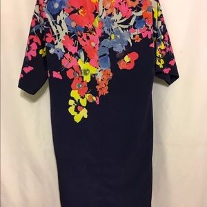 Ann Taylor LOFT Dolman Sleeve Dress S